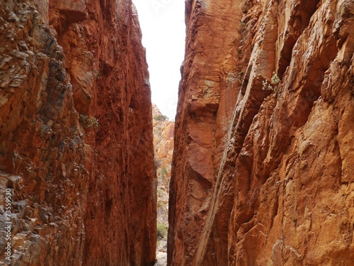 Stanley chasm in the West McDonnell ranges in Australia