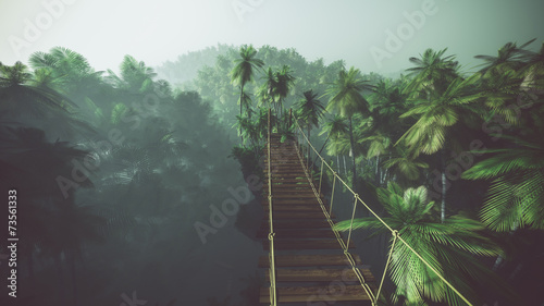 Photographie Rope bridge in misty jungle with palms. Backlit.
