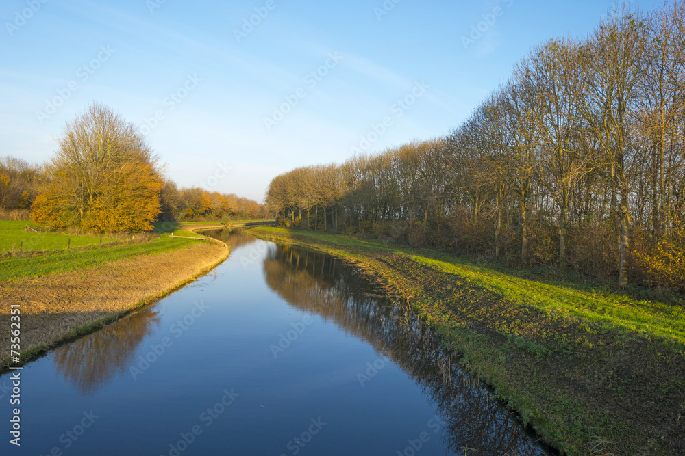 Trees along a canal at sunset in autumn Trees along a canal at sunset in autumn