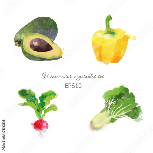 Set of avocado paprika radisch  lettuce