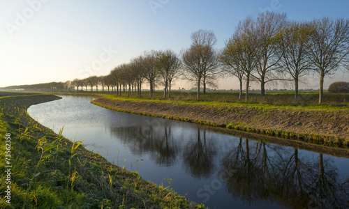 Trees along a canal at sunset in autumn