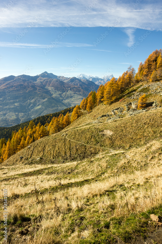 Naklejka premium Alberi in veste autunnale in montagna