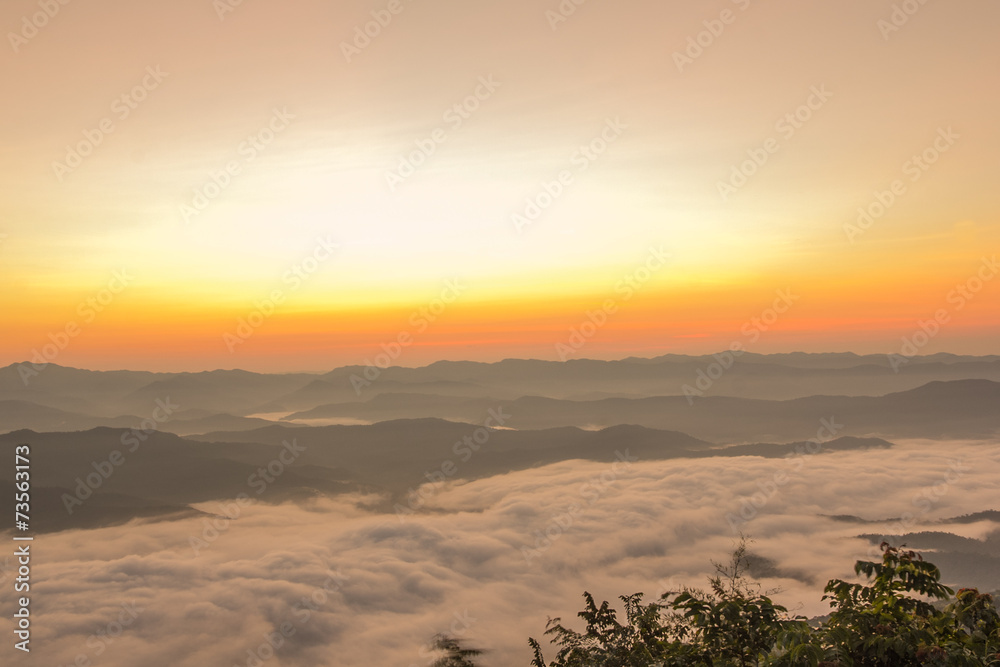 fog on mountain