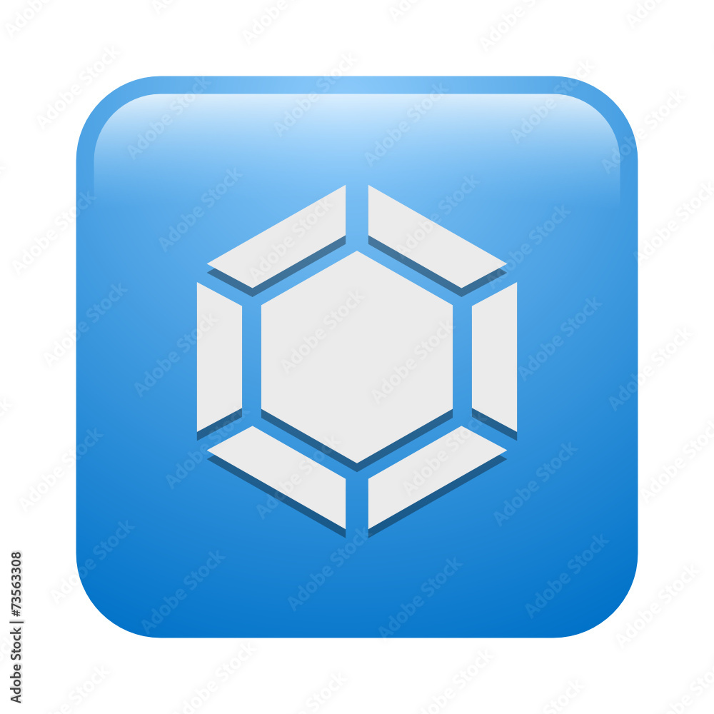 Vector Icon Vector Icon
