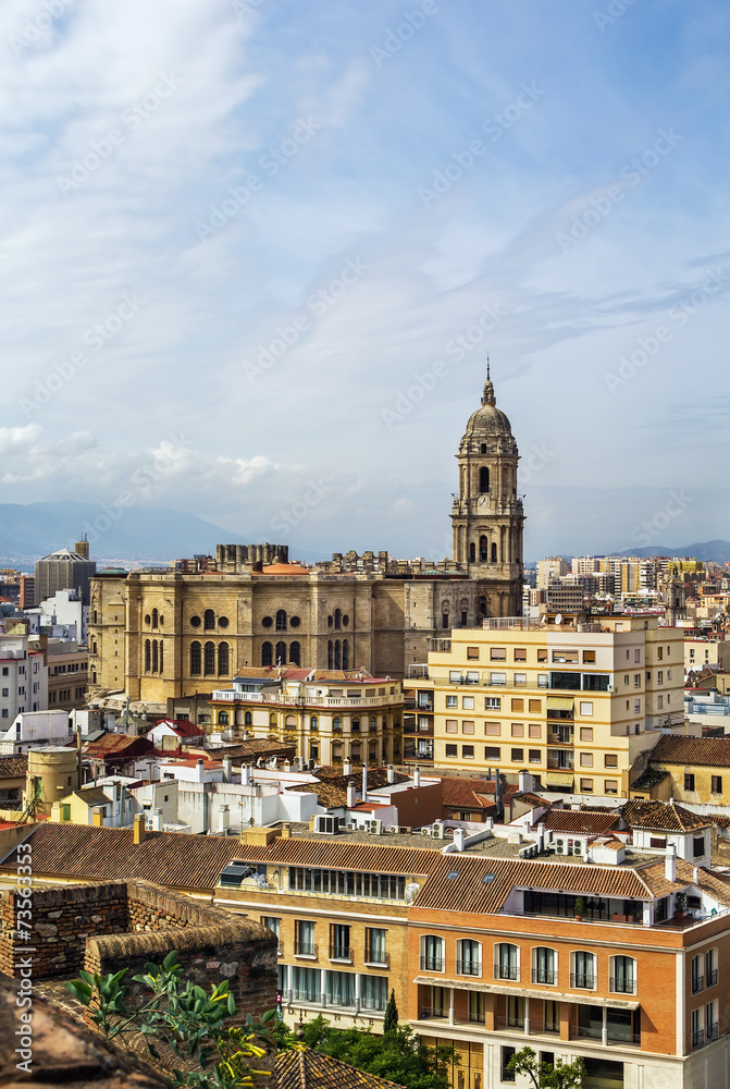 Obraz premium Malaga Cathedral, Spain