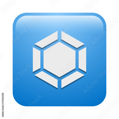 Vector Icon