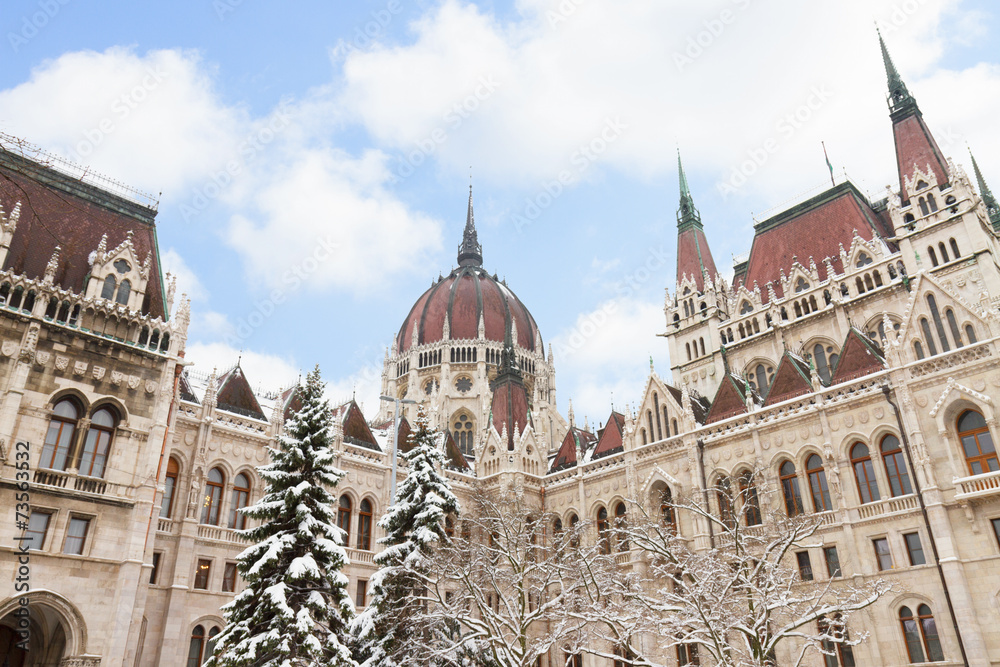 Fototapeta premium facade of parliament winter day, Budapest