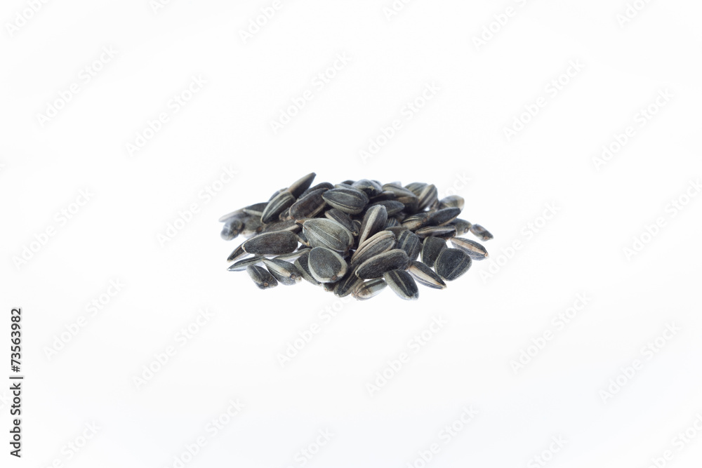 Sunflower Seeds Sunflower Seeds
