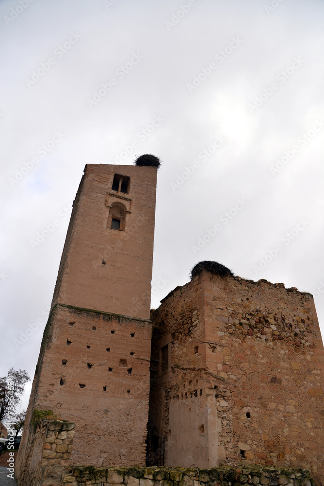 PEDRAZA PEDRAZA