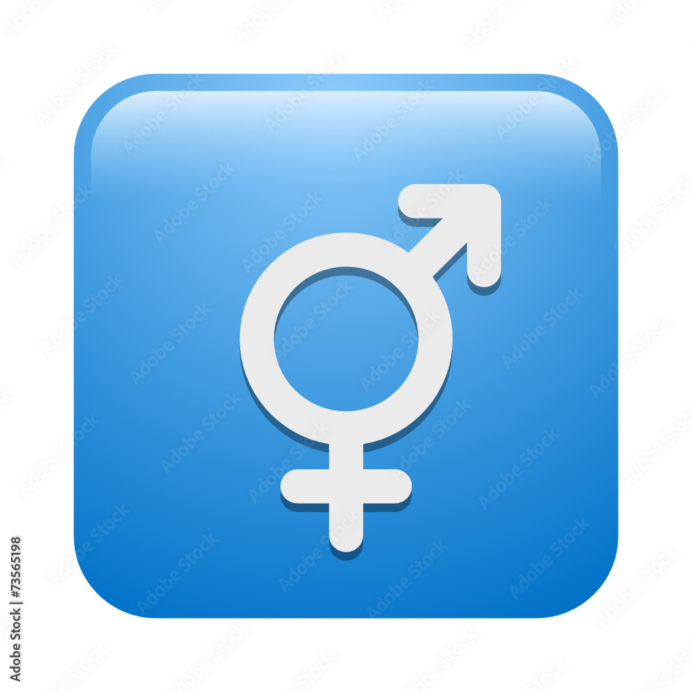 Vector Icon Vector Icon