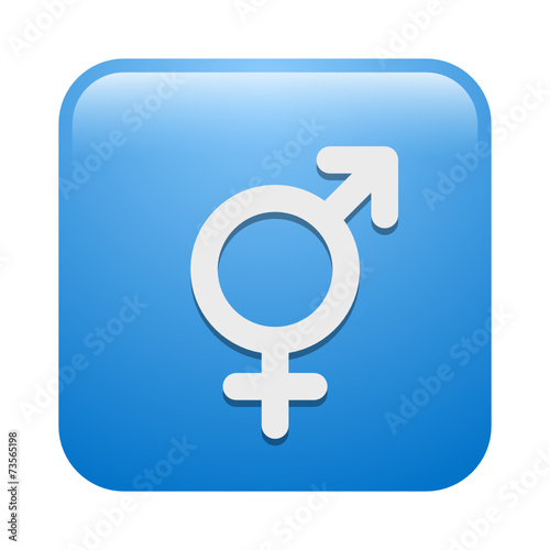 Vector Icon