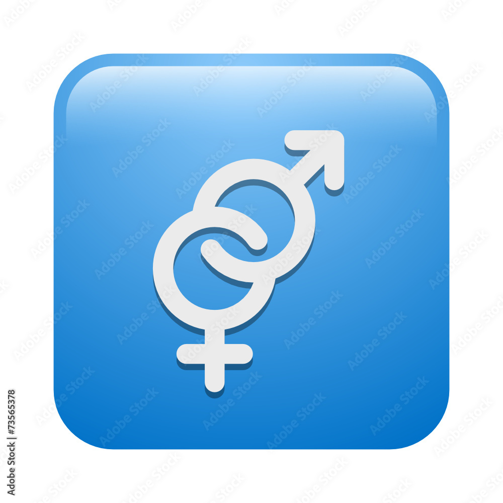Vector Icon