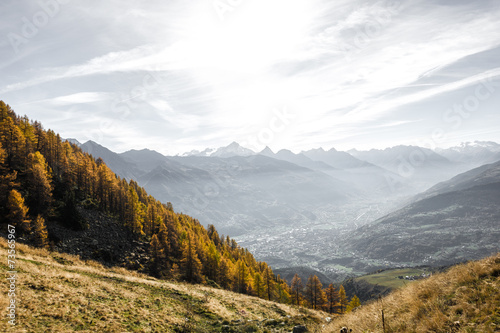 Paesaggio autunnale in montagna con alberi