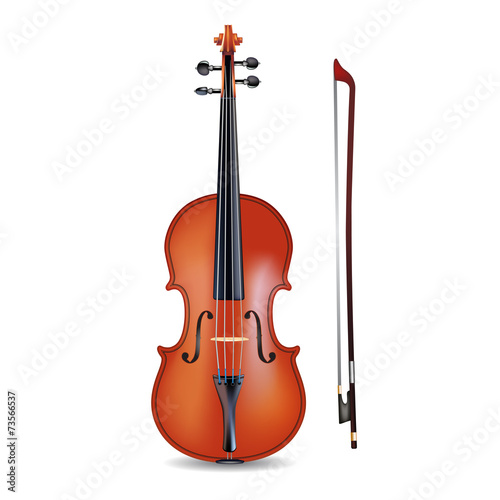 Violin