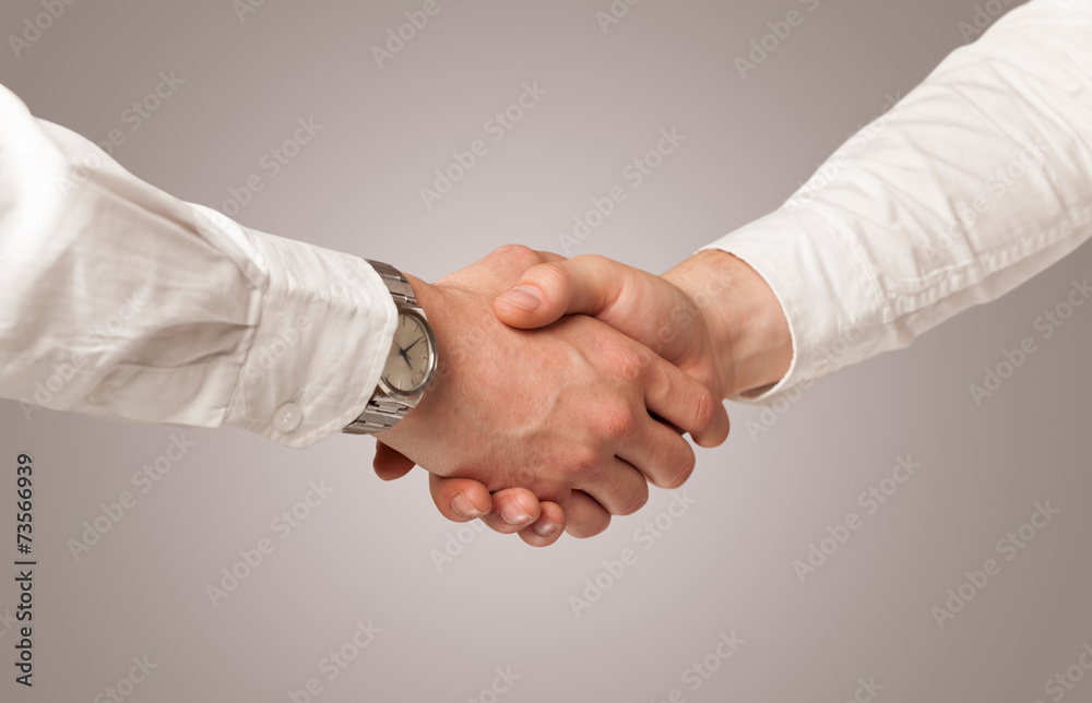 Business handshake Business handshake