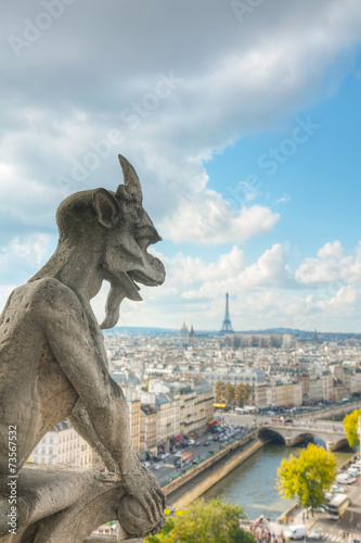 Paris aerial view with Chimera © andreykr