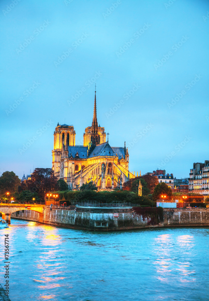 Obraz premium Katedra Notre Dame de Paris