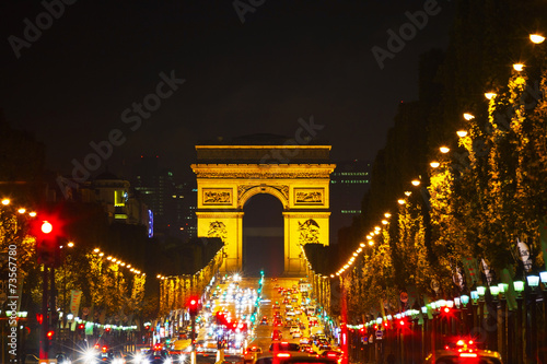 The Arc de Triomphe de l'Etoile in Paris © andreykr