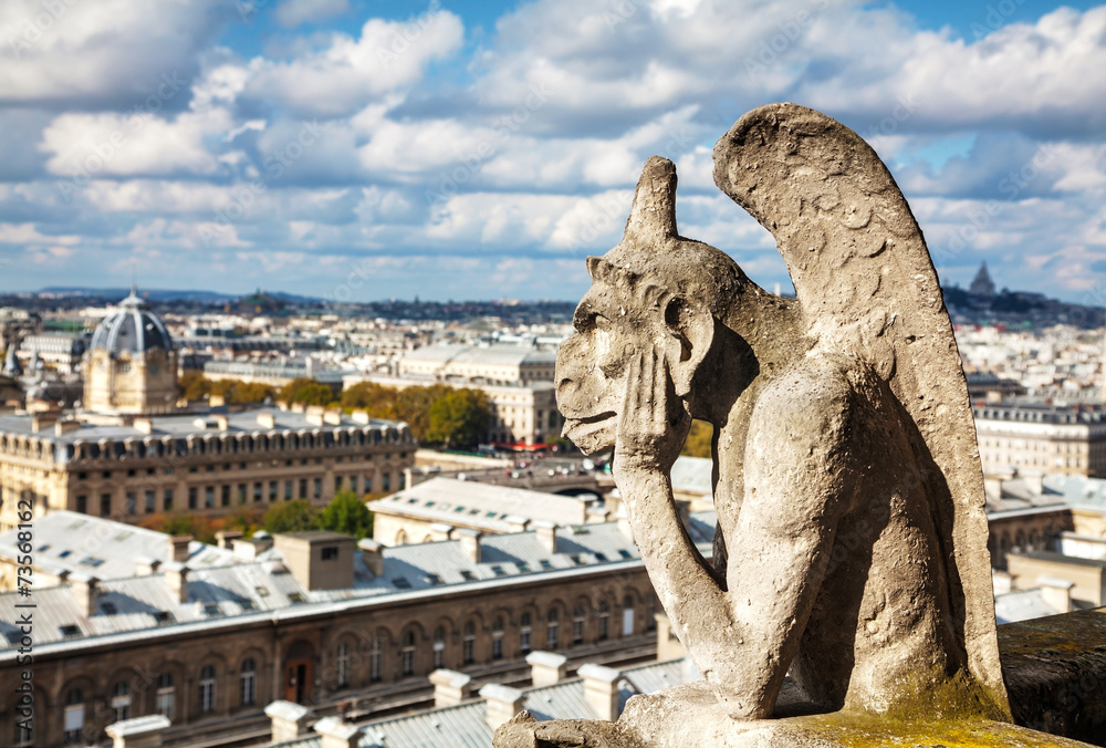 Obraz premium Paris aerial view with Chimera