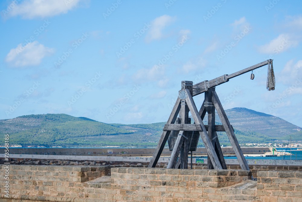 catapult by the shore