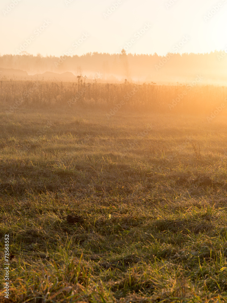 beautiful misty meadow in the morning frost beautiful misty meadow in the morning frost