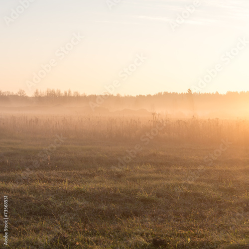 beautiful misty meadow in the morning frost © Martins Vanags
