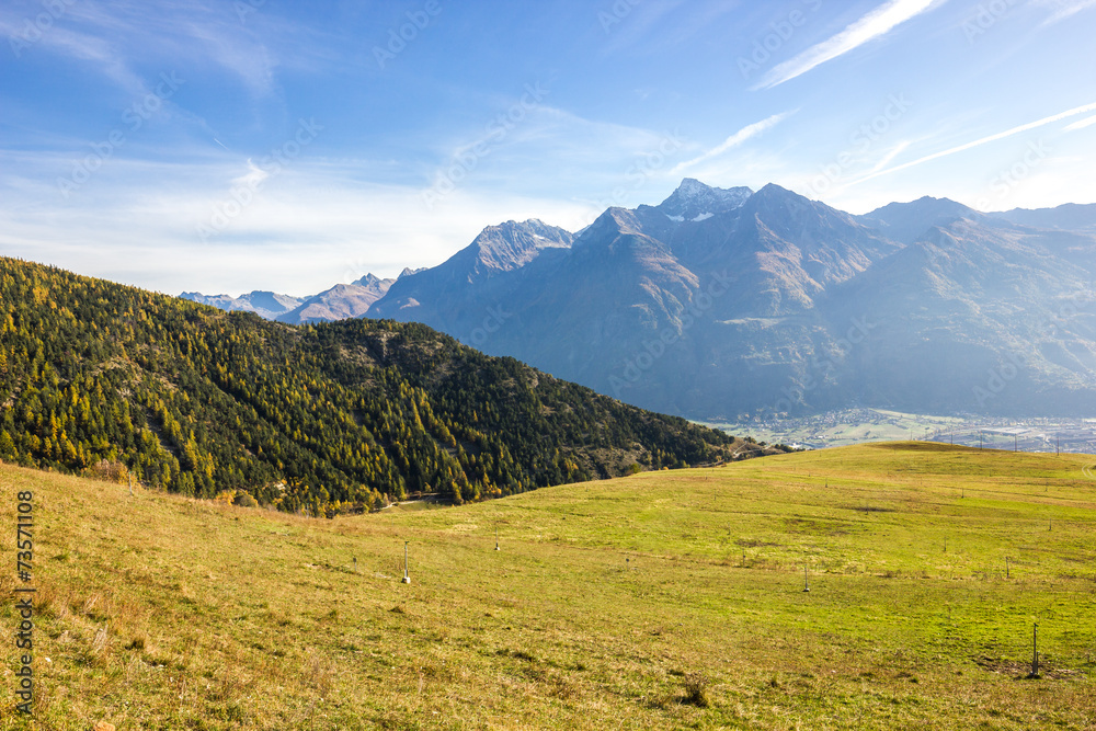 Pascolo di montagna