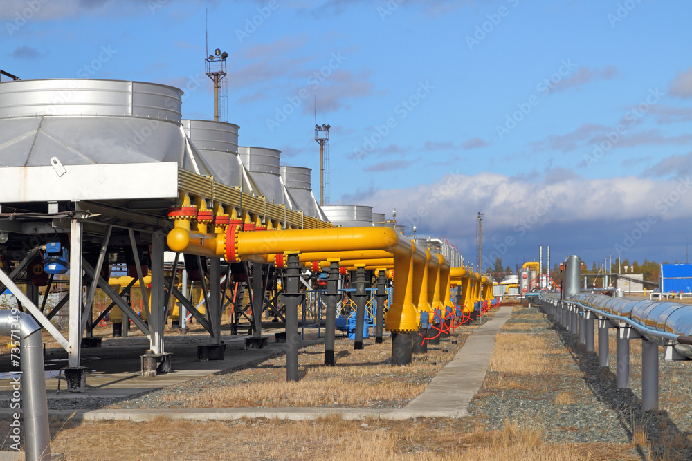 Fototapeta premium Gas pipeline