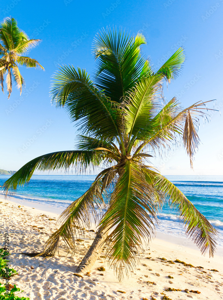 Obraz premium Scene Wallpaper Sunshine