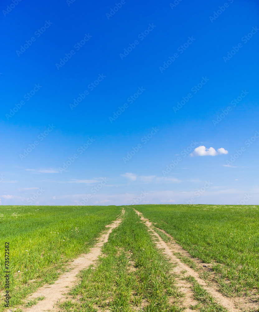 Fototapeta premium Forward In a Field View