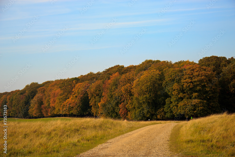 autumn colloers