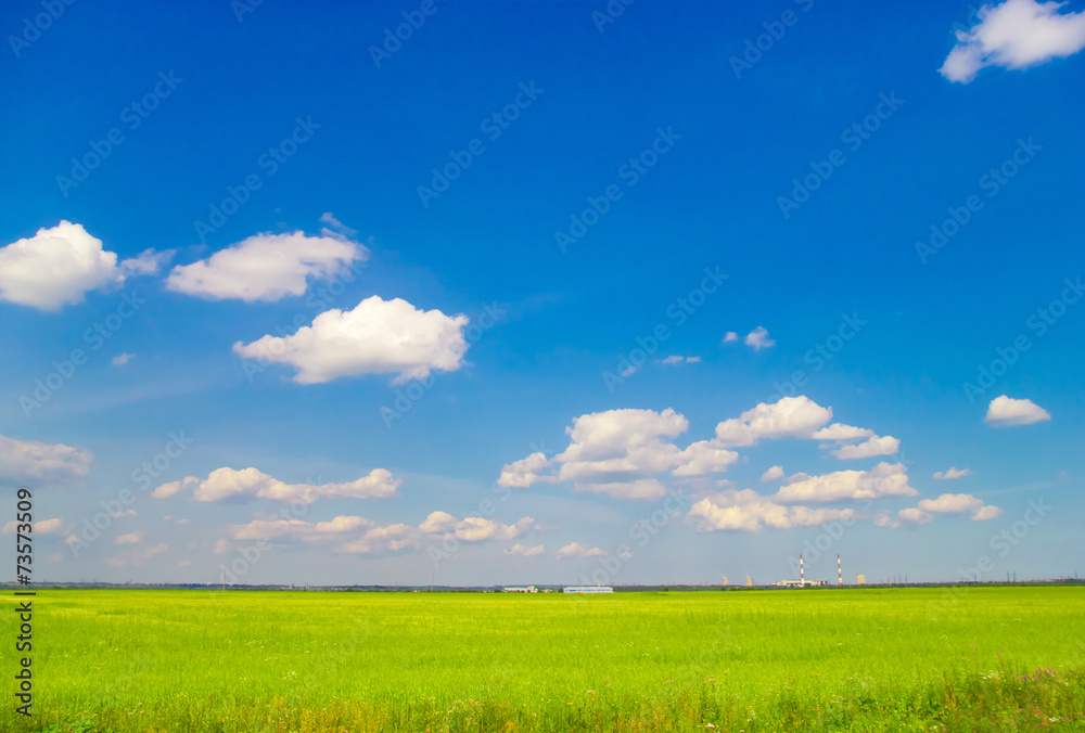 Fototapeta premium Wallpaper Field Farm