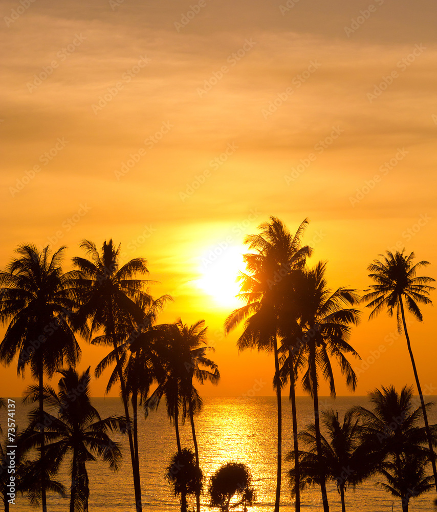 Burning Skies Coconut Horizon