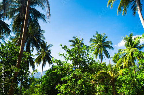 Wallpaper Mural Heaven Seascape Azure Bay Torontodigital.ca