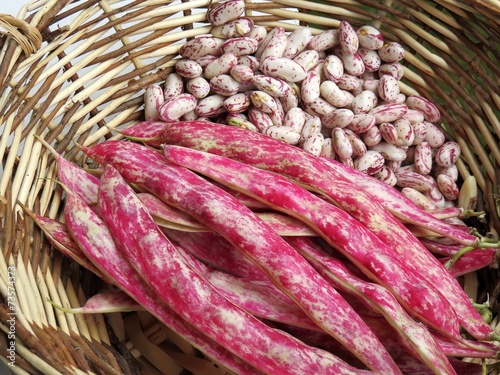 haricots