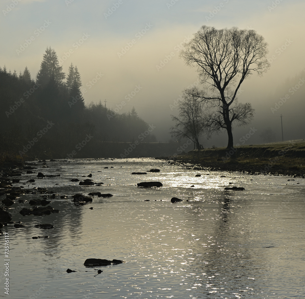 Naklejka premium Mountain River in the Carpathians