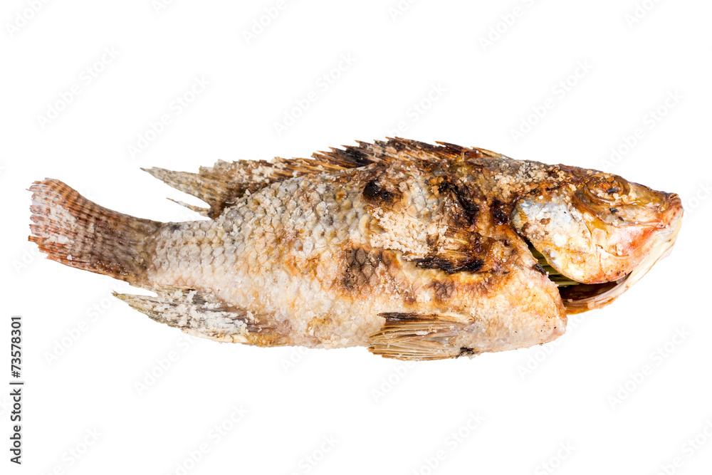 salted grill snakehead fish with herbs on a white background salted grill snakehead fish with herbs on a white background