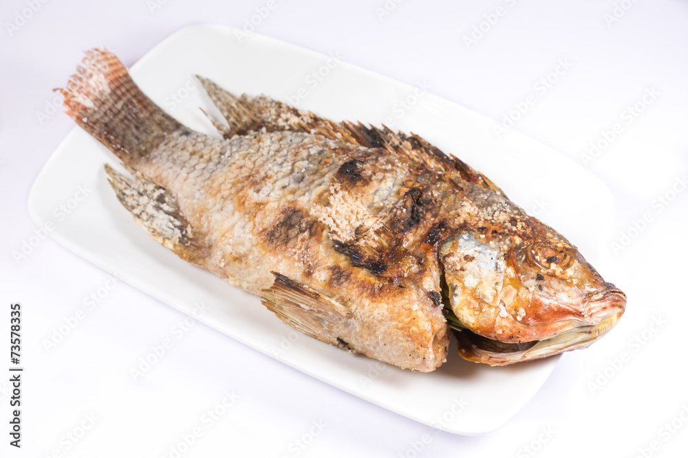 salted grill snakehead fish with herbs on white background salted grill snakehead fish with herbs on white background
