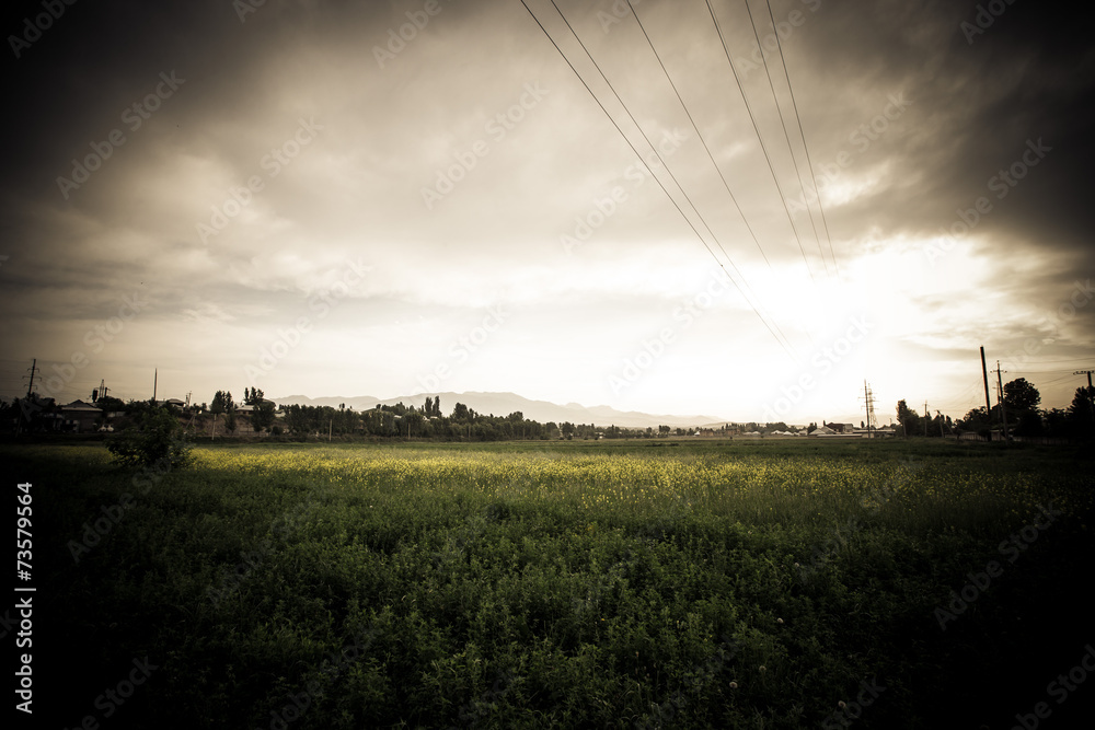Fototapeta premium Dramatic field. Landscape. In dark colors