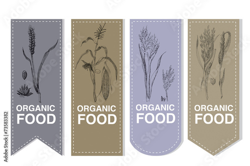Label set of cereals wheat corn rice millet