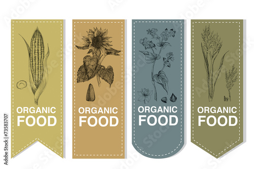 Label set of cereals corn sunflower buckwheat rice