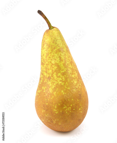Green Conference pear standing upright