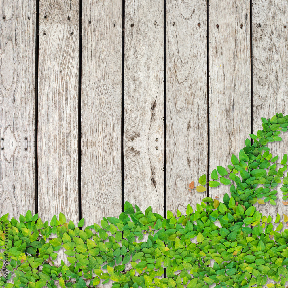 Grey Timber decking background and texture