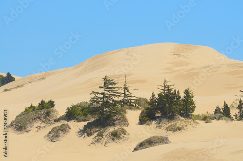 Oregon Dunes photo