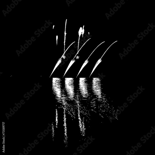 Fireworks with reflection on lake