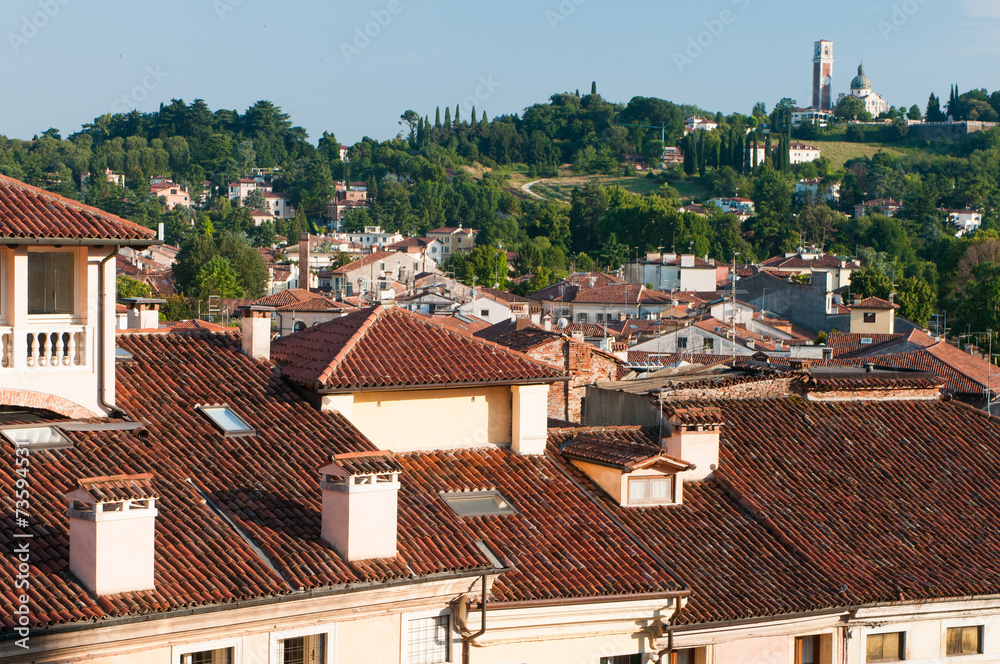 Rooftops in Vicenza
