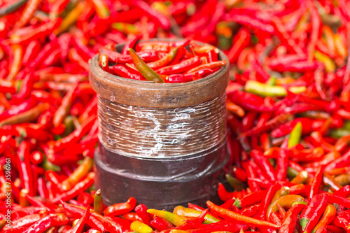 pinte de petits piments rouges, Réunion photo