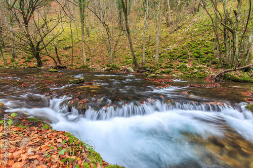Fototapeta Naklejka Na Ścianę i Meble -   Beautiful waterfalls and autumn foliage in the forest