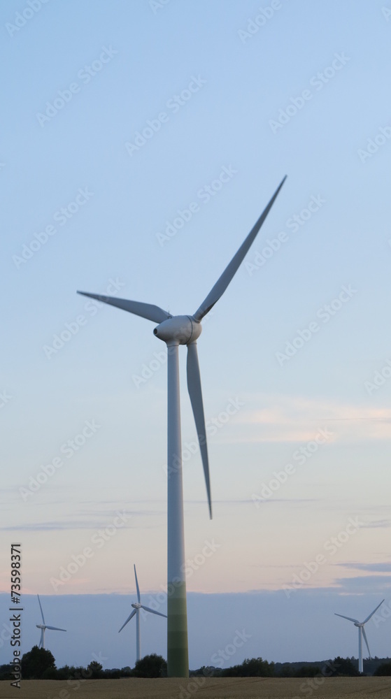 wind power