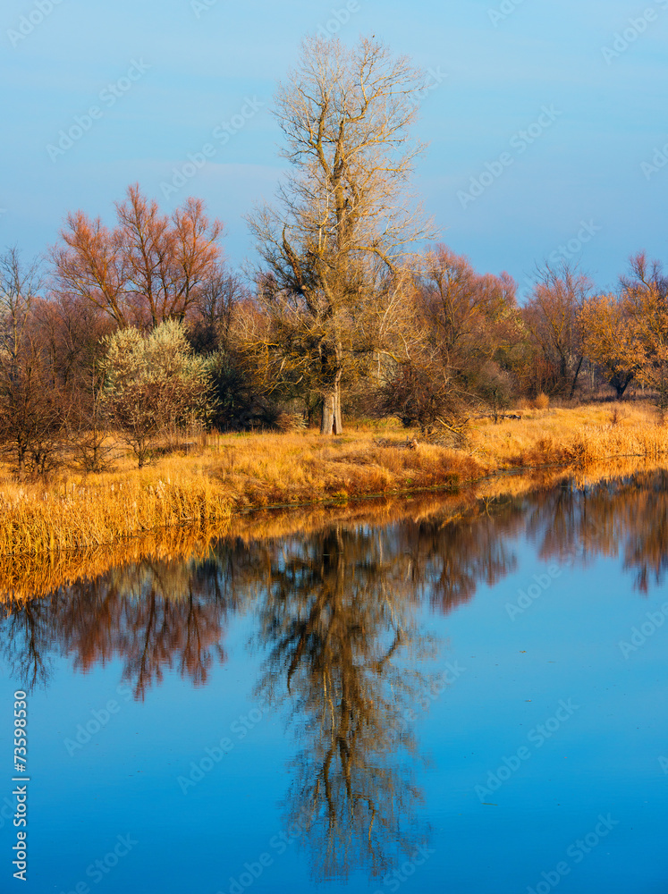 Fototapeta premium landscape